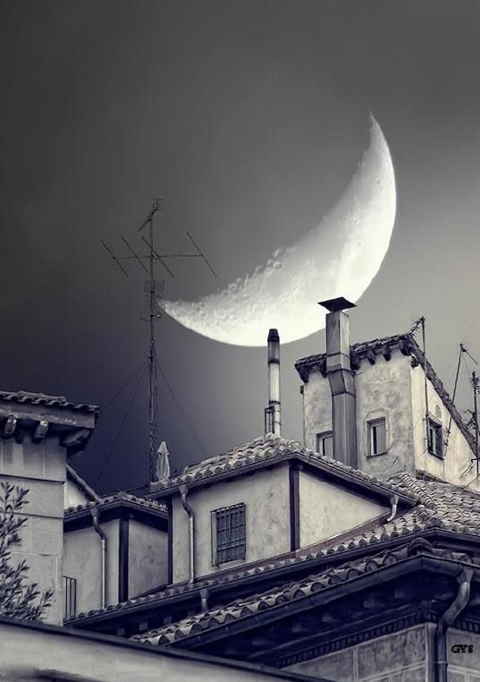 Imagen de El dueño de la calle