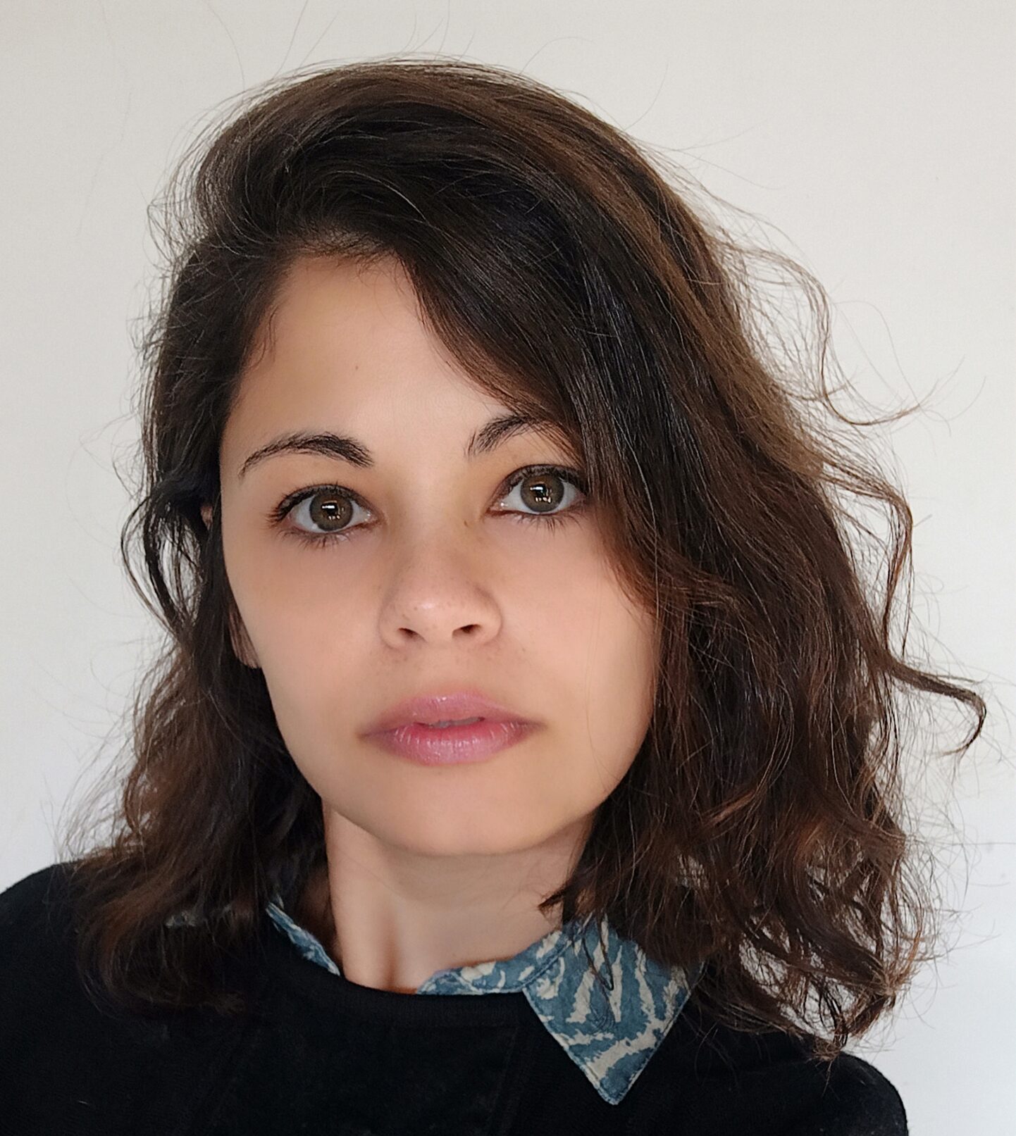 Nota de prensa: La domesticación de las plagas”, de Anabel Ares – Editorial Diotima